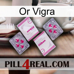 Gold Vigra 33